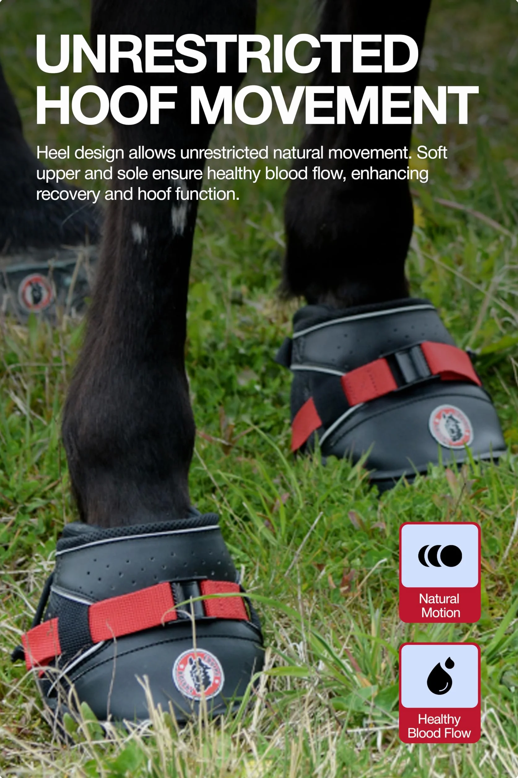 Equine F. Ultra Jogging Shoe Slim 14, czarne
