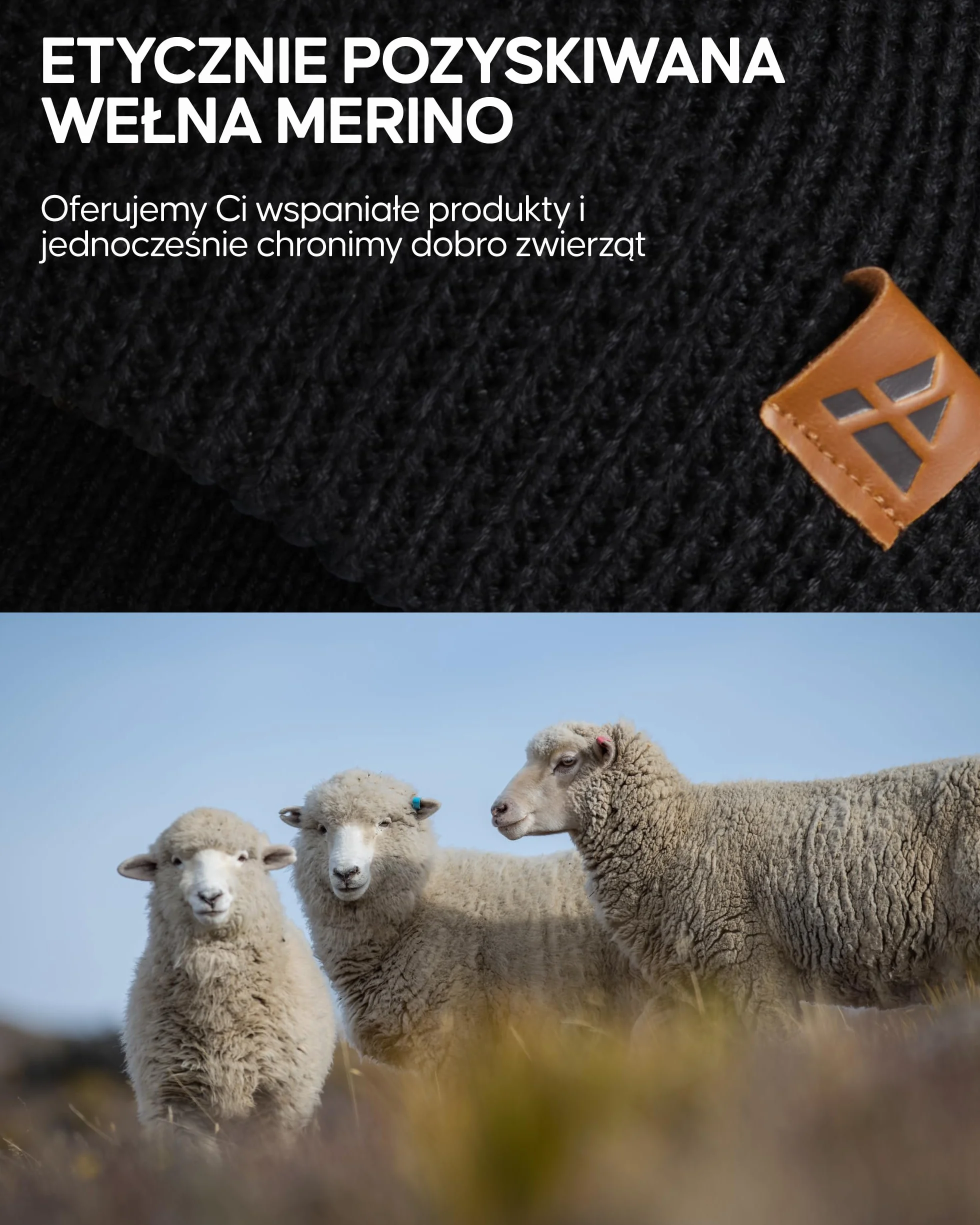 DANISH ENDURANCE Merino Wełniana Czapka Beanie, Czapka Gruba na Zimę, Dzianinowa, Uniseks
