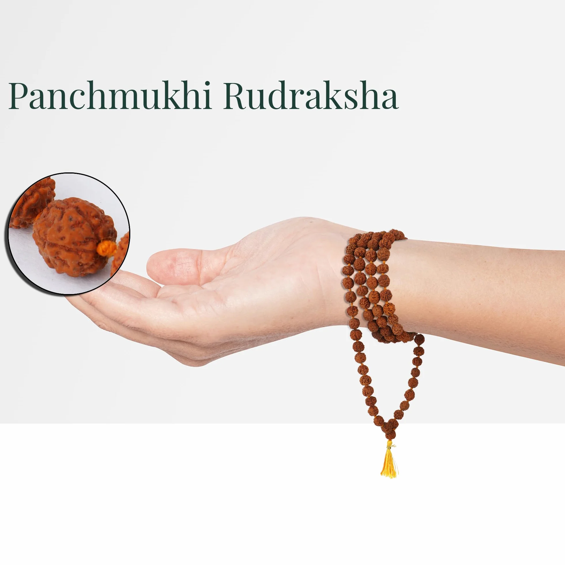 Zap Impex Rudraksha Mala certyfikowany naturalny Rudraksh Mala oryginalny certyfikat Rudraksha Mala 5 mm Rudraksh (rozmiar: 5 mm, perły: 108 + 1), Nasiona