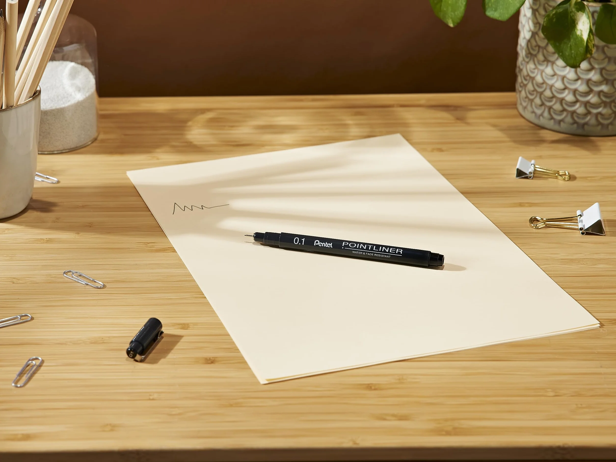Pentel Pointliner S20P-1A, Fineliner, czarny, wodoodporny i odporny na działanie światła, 0,1 mm