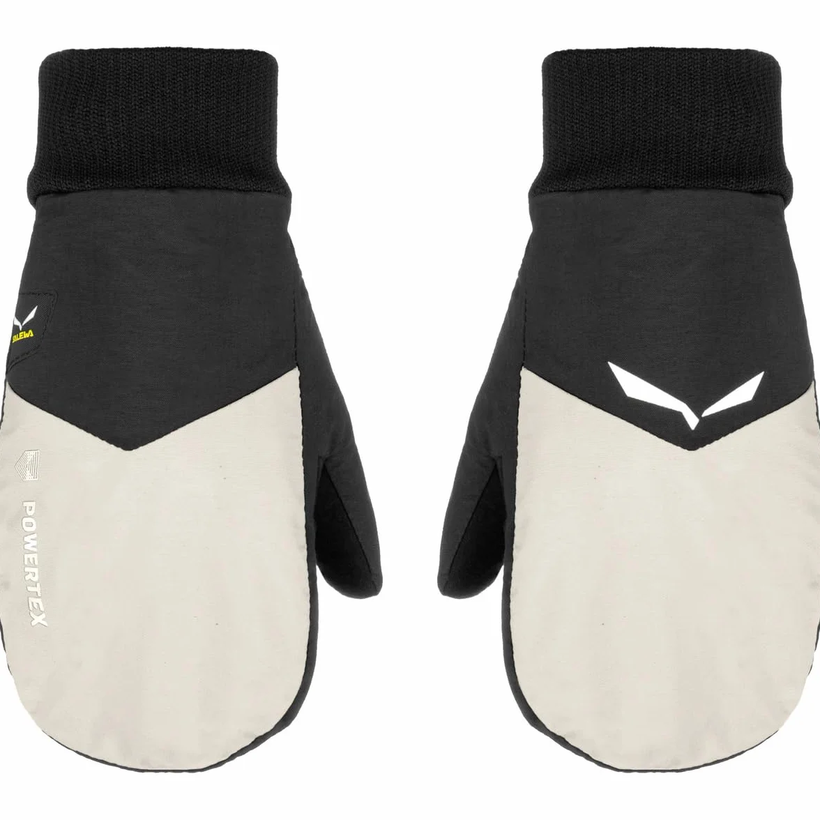 Rękawice marki SALEWA KIDS PTX/TWR MITTEN