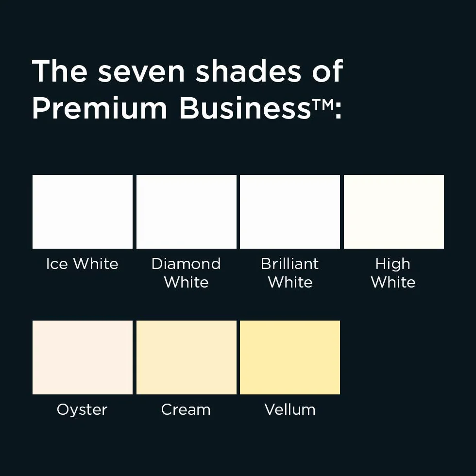 Blake Premium Business 210 X 297 Mm 120 gsm Papier 39676 High White Laid Pakiet 500