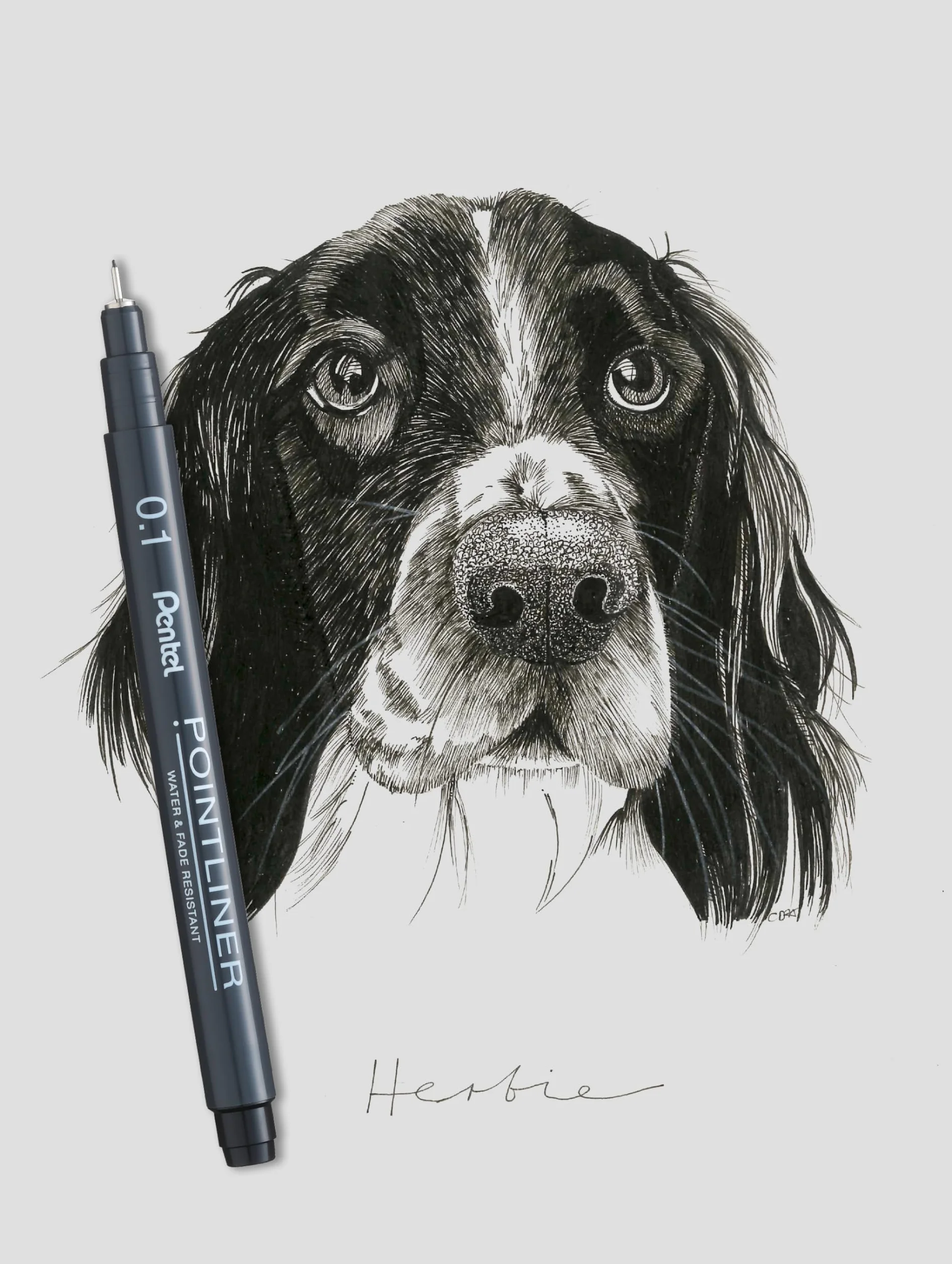Pentel Pointliner S20P-1A, Fineliner, czarny, wodoodporny i odporny na działanie światła, 0,1 mm