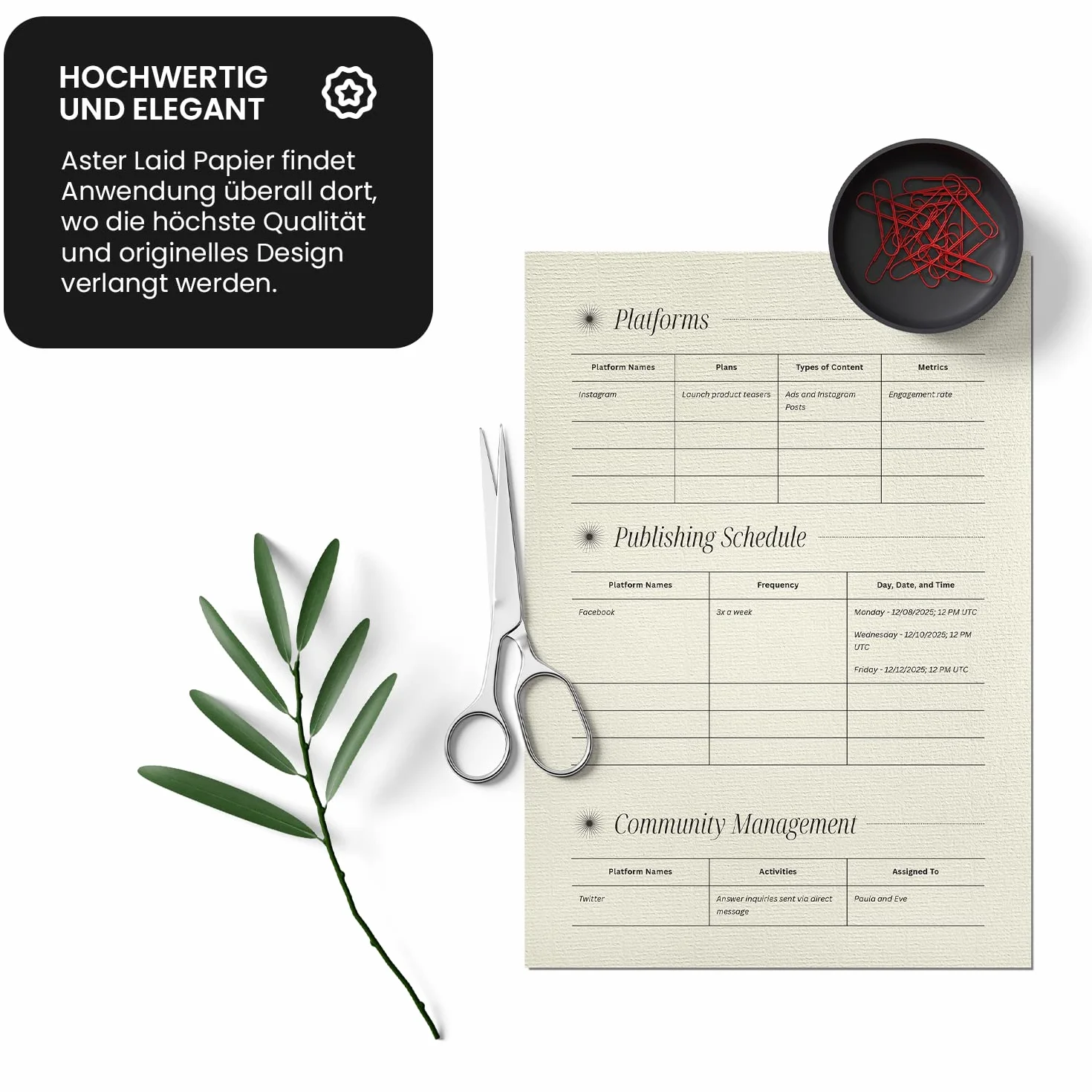 Netuno 50 x papier żebrowany w kolorze kości słoniowej A4, 297 x 210 mm, 120 g, Aster Laid Ivory papier teksturowany, elegancki karton prążkowany, karton z wzorem, do majsterkowania, kartki