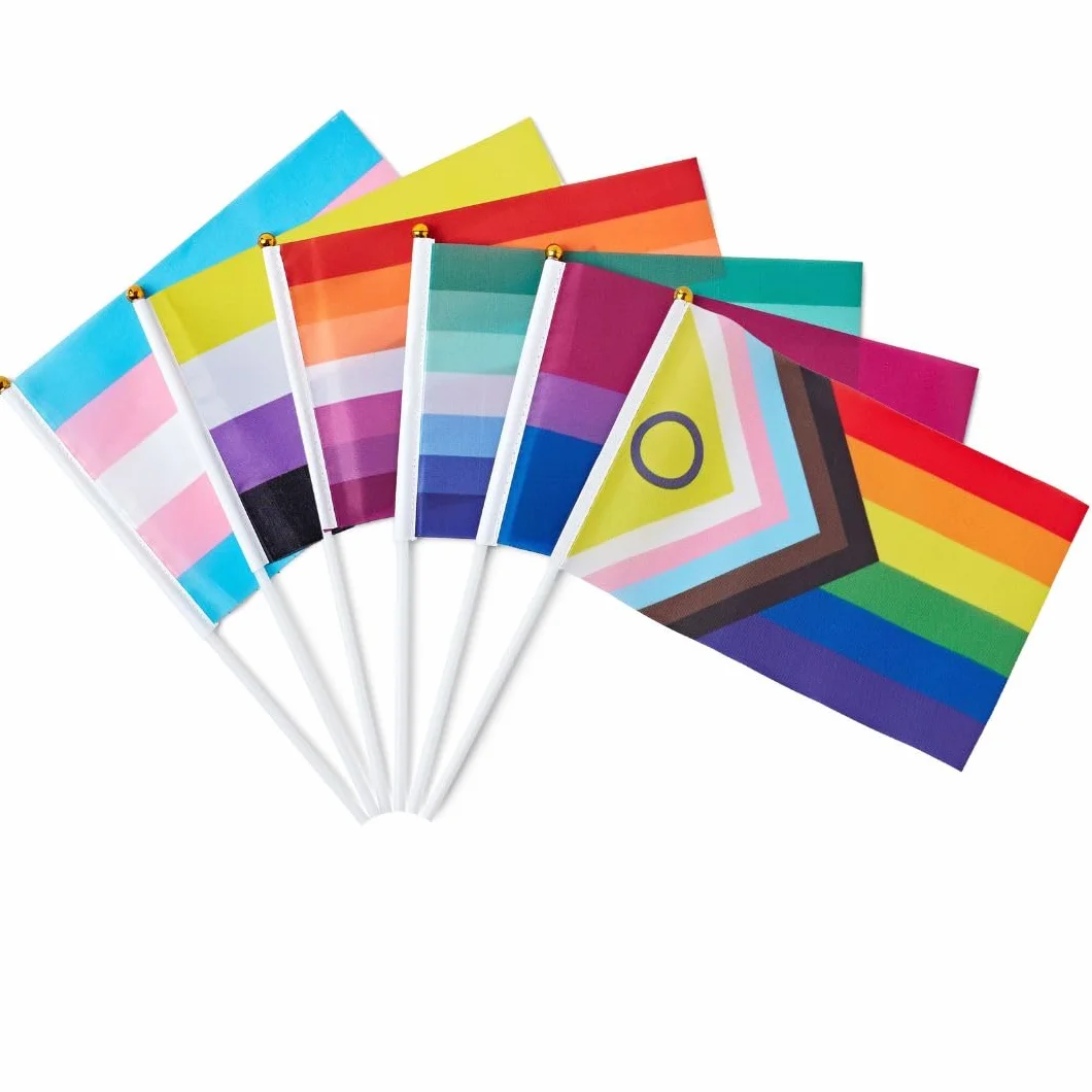 Runesol 12 sztuk ręcznych flag transpłciowych, 14 cm x 21 cm, mini flagi LGBTQ, małe flagi na patykach, dekoracje imprezowe LGBT na patyku, LGBTQ+, wydarzenia, uroczystości, dekoracje dumy trans