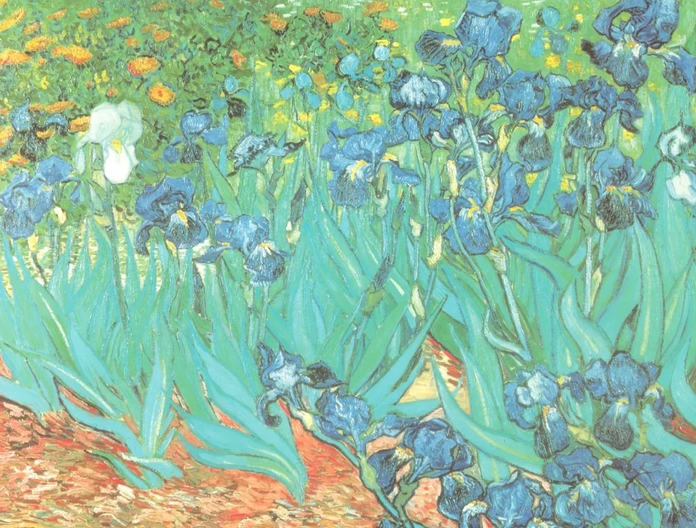 VON LILIENFELD Parasol automatyczny damski dwuwarstwowy artystyczny motyw kwiatowy Vincent Van Gogh: Irysy