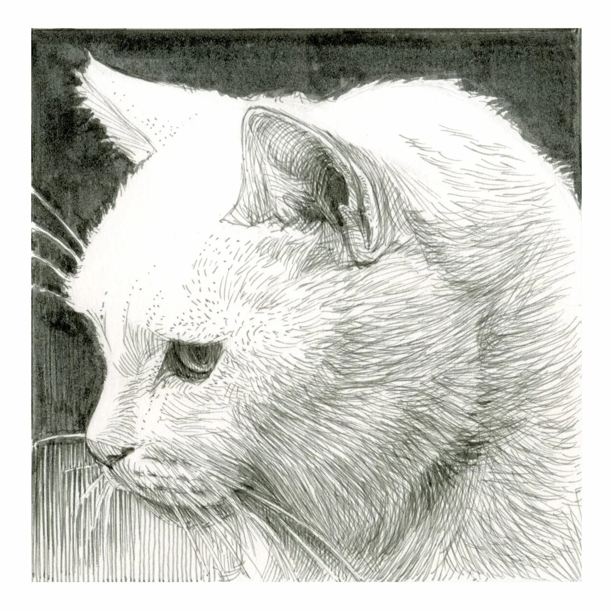 SAKURA Pigma Micron - czarny - 0,45 mm