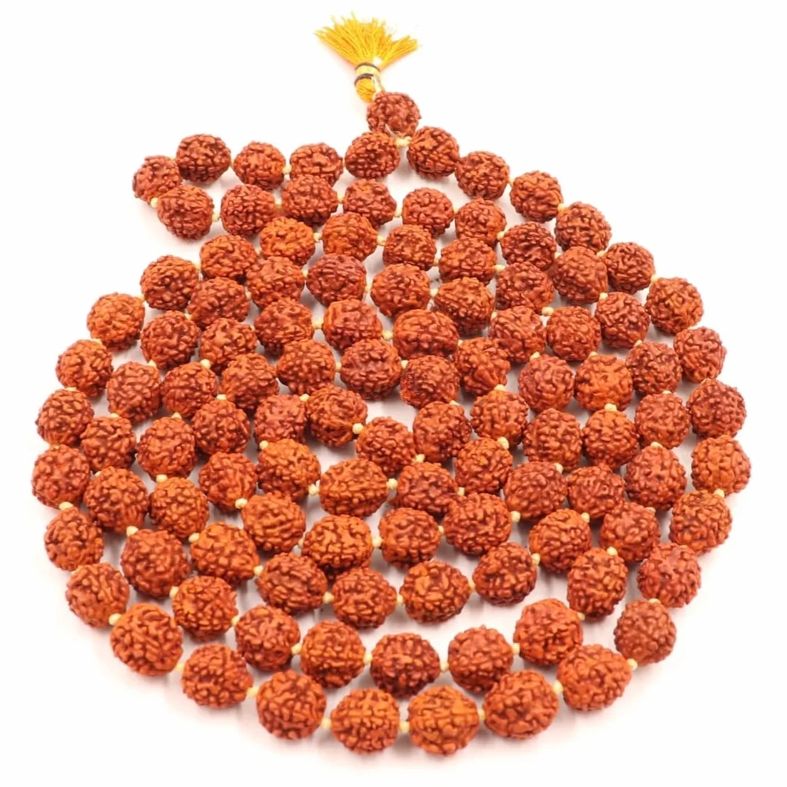 Zap Impex Rudraksha Mala certyfikowany naturalny Rudraksh Mala oryginalny certyfikat Rudraksha Mala 5 mm Rudraksh (rozmiar: 5 mm, perły: 108 + 1), Nasiona
