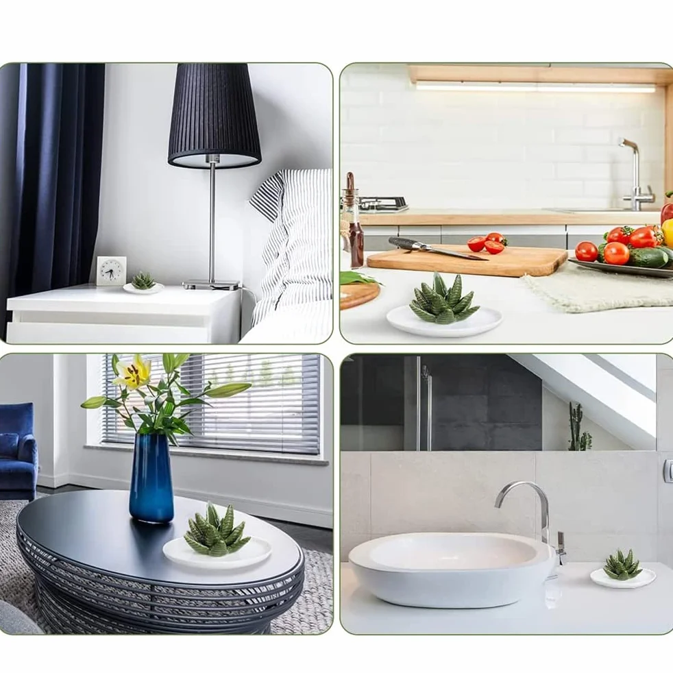 Aloes Ceramiczny Uchwyt na Pierścionek Danie, Uchwyt na biżuterię Pierścionki Bransoletki Kolczyki Zielony Soczysty Ozdoba Taca dla Kobiet Dziewczyn