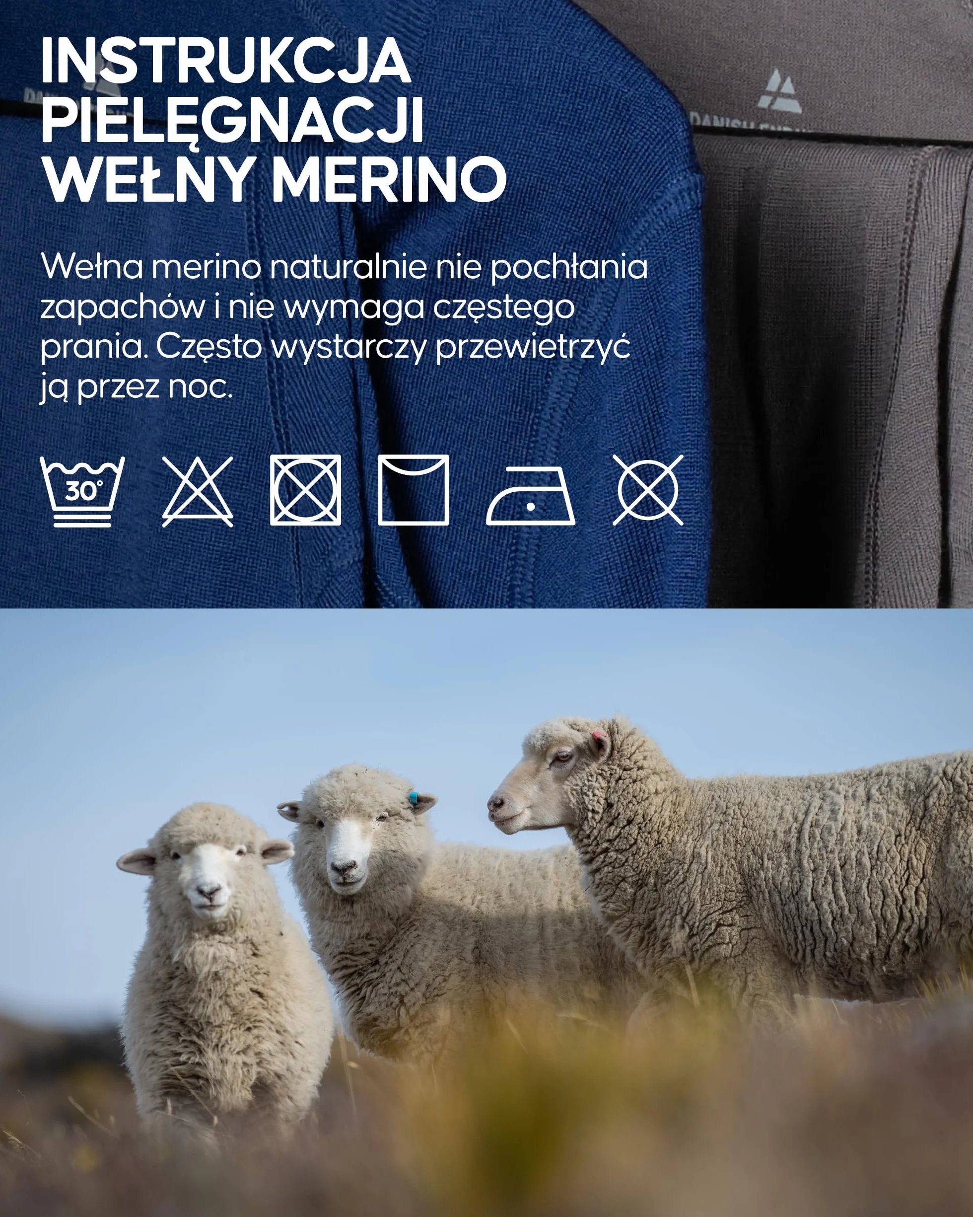 DANISH ENDURANCE Koszulka Męska 100% Wełna Merino, Lekka i Oddychająca, Luźny Krój, Odporna na Zapachy, Miękka i Odprowadzająca Wilgoć, 1 lub 2-Pak