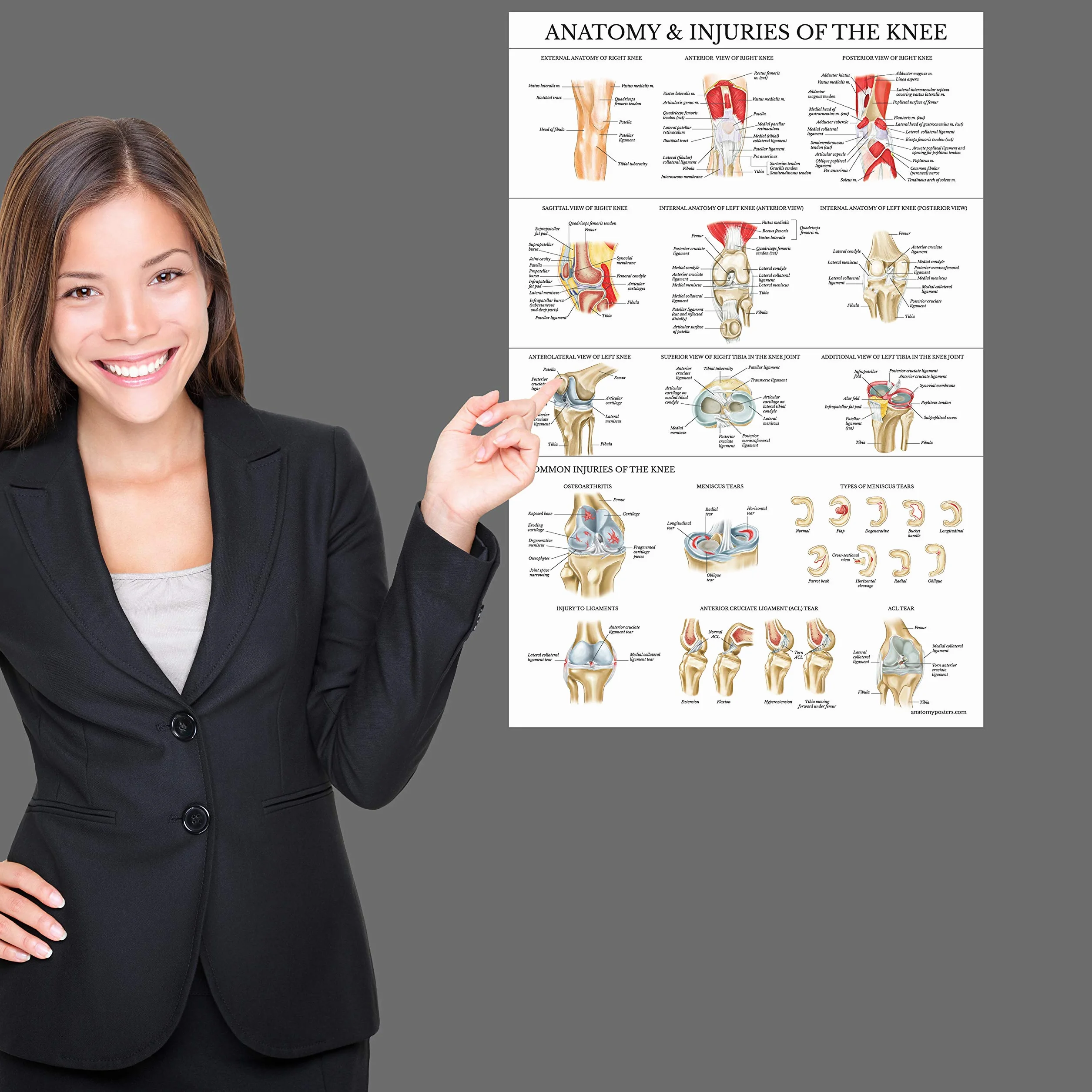 Palace Learning Zestaw 2 plakatów z anatomią i urazami kolana i ramion – zestaw wykresów anatomicznych – laminowany 45 cm x 61 cm