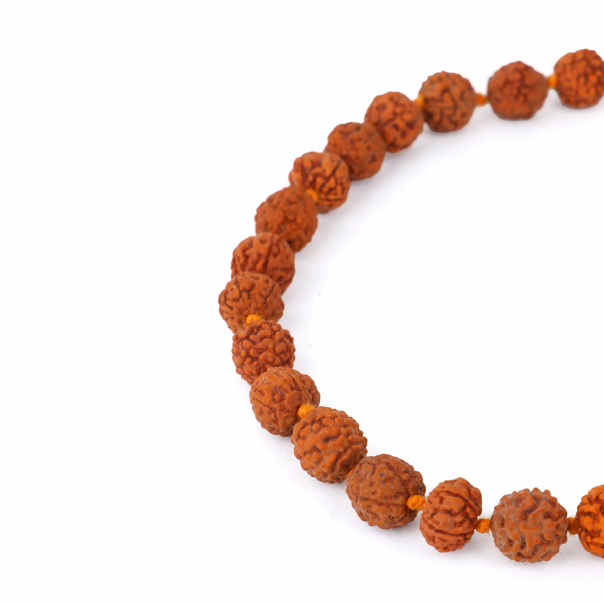 Zap Impex Rudraksha Mala certyfikowany naturalny Rudraksh Mala oryginalny certyfikat Rudraksha Mala 5 mm Rudraksh (rozmiar: 5 mm, perły: 108 + 1), Nasiona