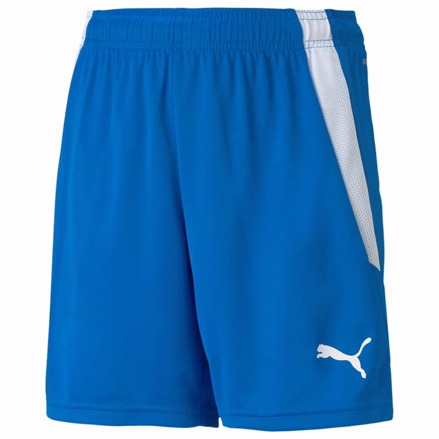 PUMA Teamliga Shorts Junior - Shorts Uniseks