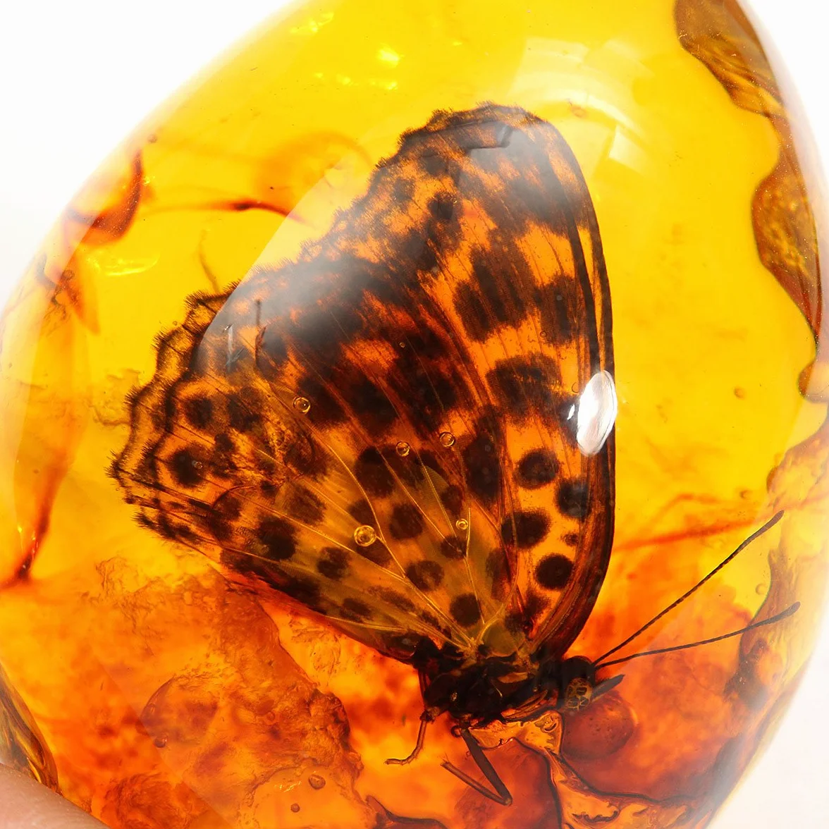 Motyl bursztyn żywica bursztyn motyl owad kamień wisiorek naszyjnik prezent dekoracja