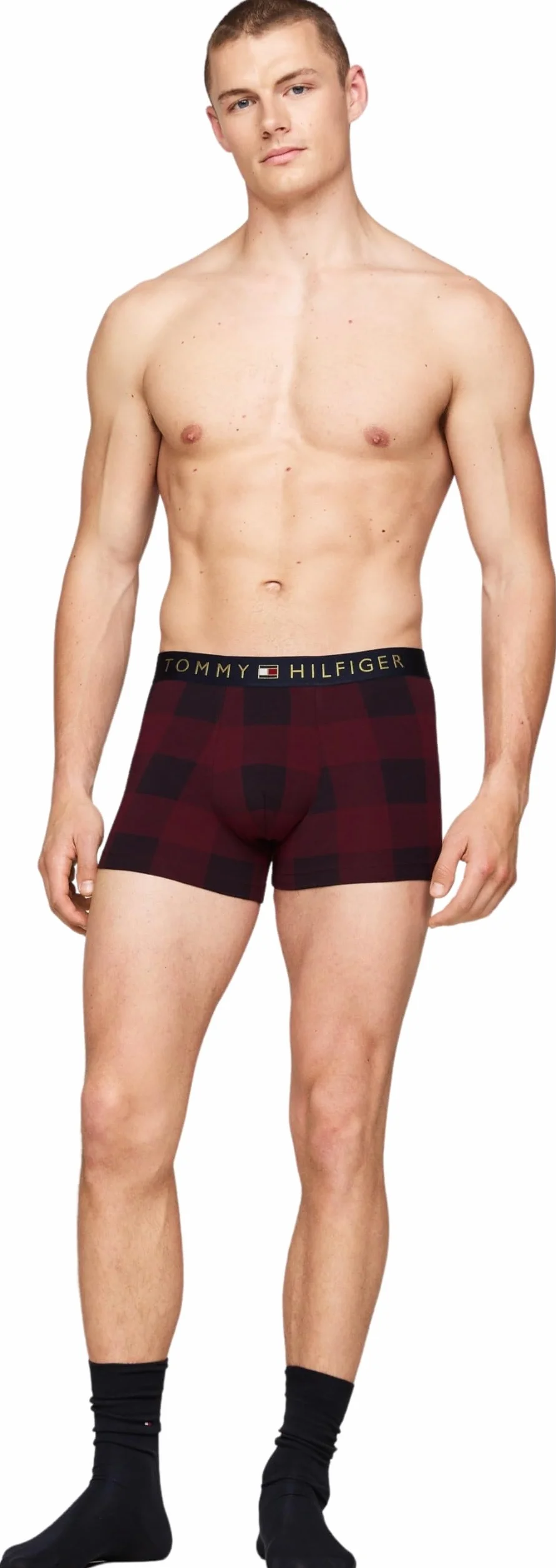 Tommy Hilfiger Męski zestaw z nadrukiem i skarpetami do bagażnika złoty Wb UM0UM03048, inna bielizna, wielokolorowy, M, Multi (Buffalo Check/Des Sky), M
