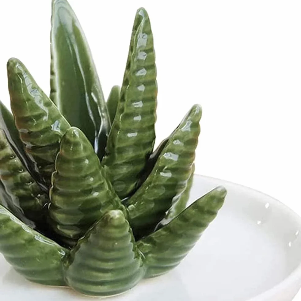 Aloes Ceramiczny Uchwyt na Pierścionek Danie, Uchwyt na biżuterię Pierścionki Bransoletki Kolczyki Zielony Soczysty Ozdoba Taca dla Kobiet Dziewczyn