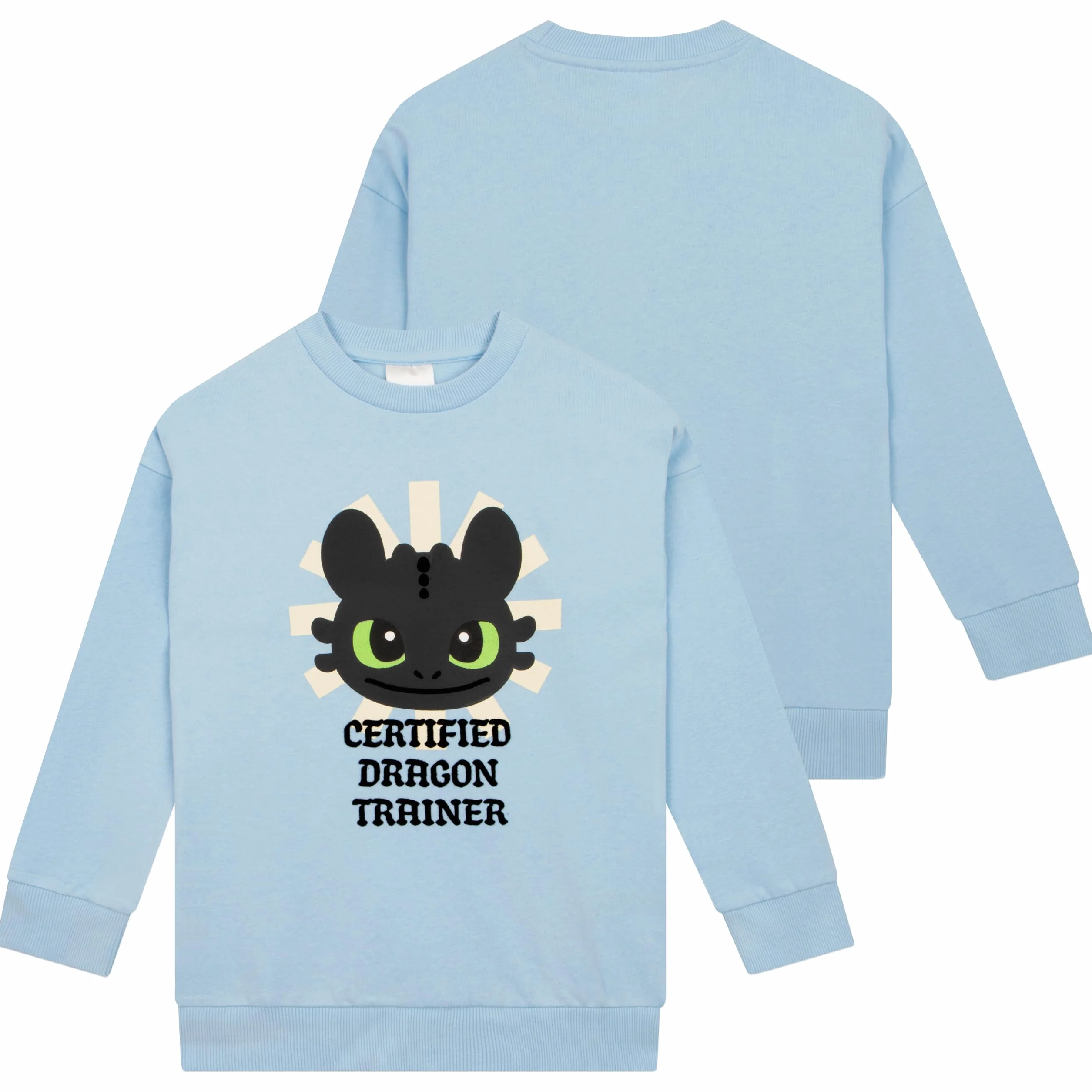 How To Train Your Dragon Bluza, Bluza dziewczęca Z Toothlessem, Bawełniana Sweter Z Długim Rękawem